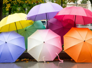 Зима заканчивается — наступает пора дождей. Пора подготовиться!