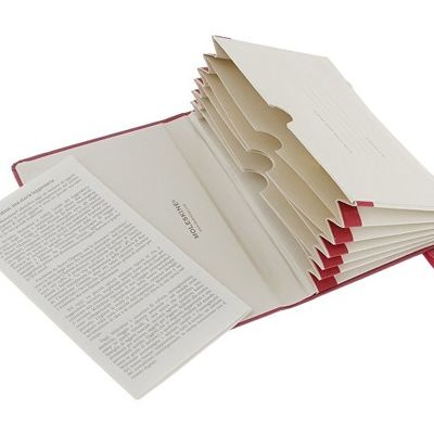 Папка Moleskine Portfolio (с кармашками), Pocket (9х14см), розовый