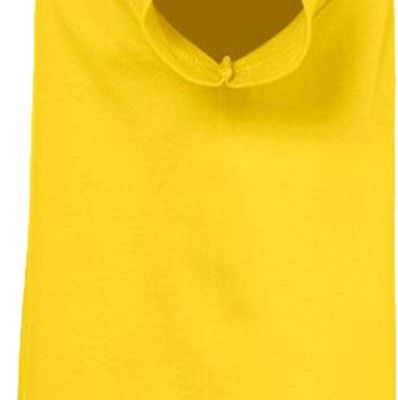 Футболка детская Regent Kids 150, желтая