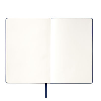 Ежедневник Спарк (Spark) недатированный, синий (с упаковкой, со стикерами)