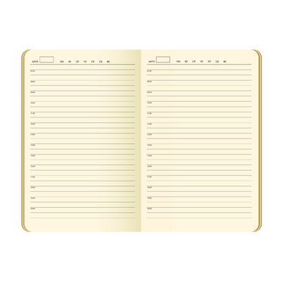 Ежедневник Спарк (Spark) недатированный, черный (с упаковкой, со стикерами)