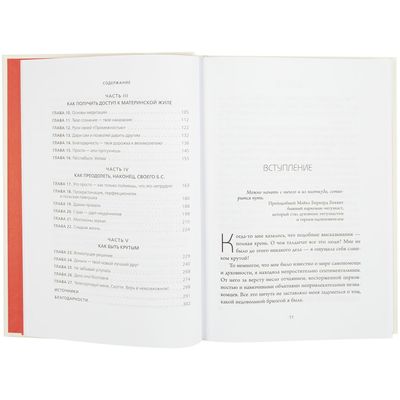 Книга «НИ СЫ»