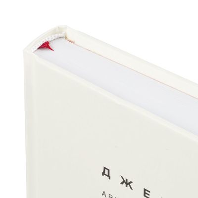 Книга «НИ СЫ»