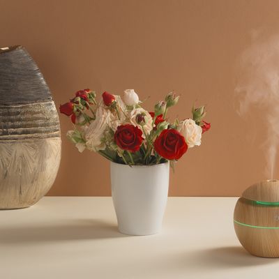 Увлажнитель воздуха "Forest air", цвет дерево