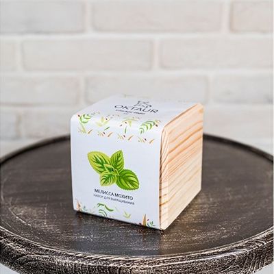 Набор для выращивания Big village cube Мелиса Мохито