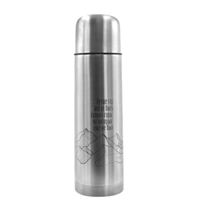 Термос Picnic Silver, серебристый