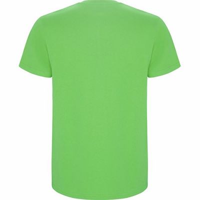 Футболка Stafford мужская, зеленое яблоко