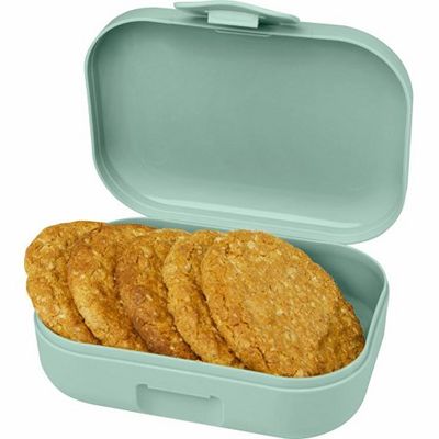 Бокс для снеков на защелке Amuse Plus, sage