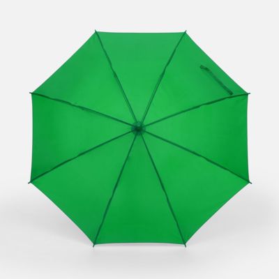 Зонт-трость Promo, зеленый