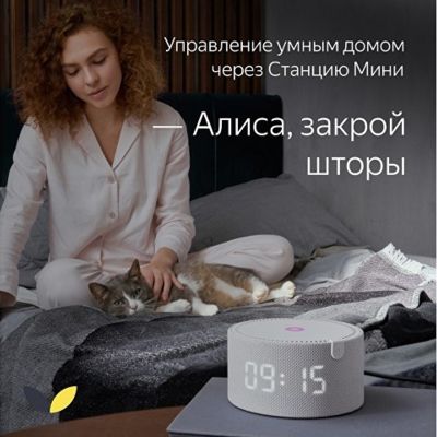 Умная колонка ЯНДЕКС Станция Мини с часами, 10 Вт, с Алисой, цвет: серый (YNDX-00020G)