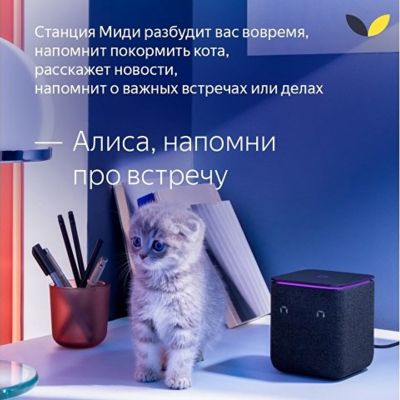 Умная колонка ЯНДЕКС Станция Миди с Алисой, с Zigbee, 24 Вт, цвет: черный (YNDX-00054BLK)
