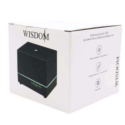 Светодиодный увлажнитель Wisdom с подсветкой гравировки, черный