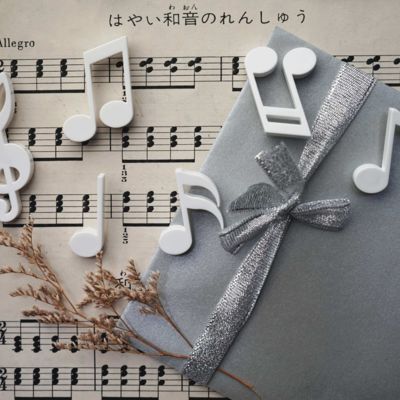 МАГНИТЫ MEMODY MAGNET (6 ШТ. / УПАК.), белые