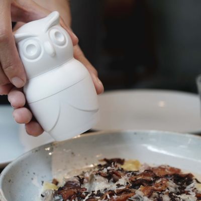 МЕЛЬНИЦА ДЛЯ СПЕЦИЙ Tasty Owl, белая