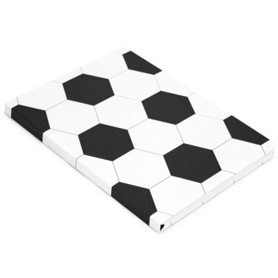 Записная книжка в клетку 15.5x21 Мяч R1-2440544