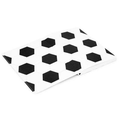 Записная книжка в клетку 15.5x21 Мяч R1-2440544