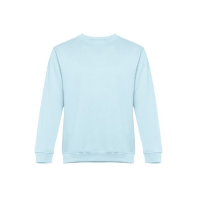 Толстовка мужская DELTA, св.голубой, 2XL, 50% хлопок, 50 полиэстер, плотность 300 г/м2