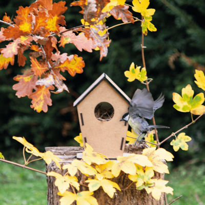 Скворечник ECO HOME