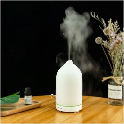 Увлажнитель воздуха Prixton Zen