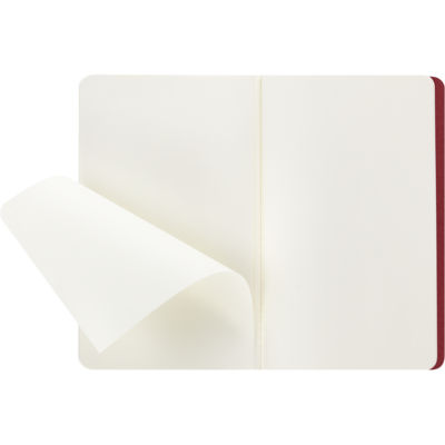 Ежедневник MOLESKINE CAHIER A5