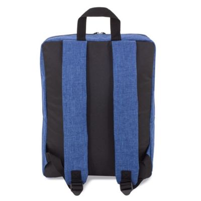 Рюкзак DARWIN