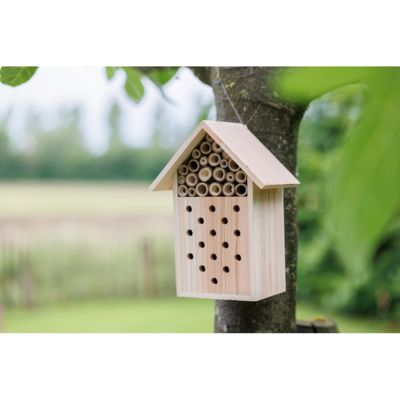Beehouse бехаус