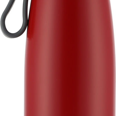 Термобутылка 650 мл PIERRE CARDIN