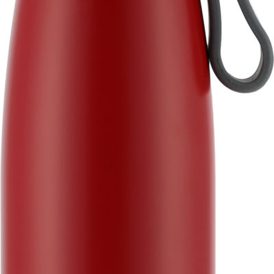 Термобутылка 650 мл PIERRE CARDIN