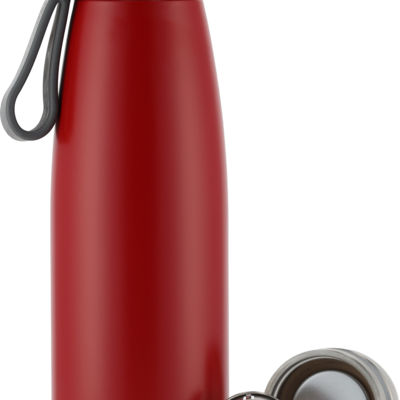 Термобутылка 650 мл PIERRE CARDIN