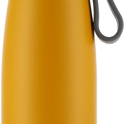 Термобутылка 650 мл PIERRE CARDIN