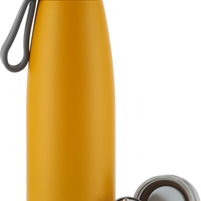 Термобутылка 650 мл PIERRE CARDIN