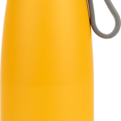 Термобутылка 650 мл Pierre Cardin